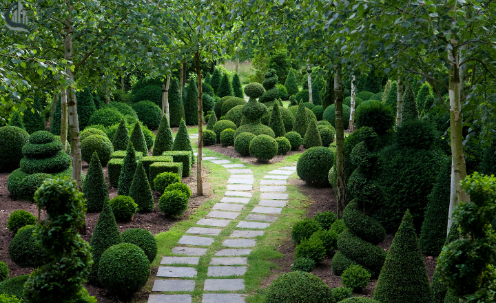Topiary  of garden (decorative shapes)