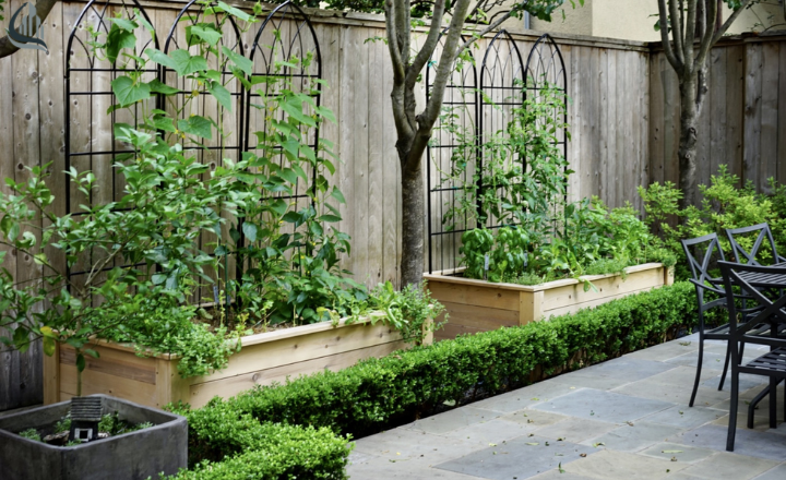 Texture of the garden