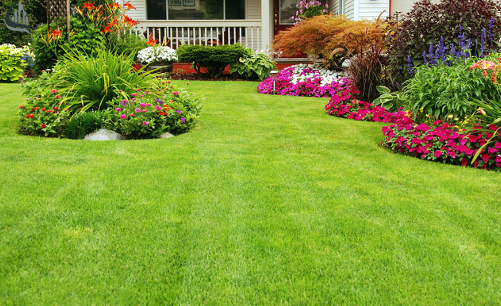 Basic elements of the garden: Grass