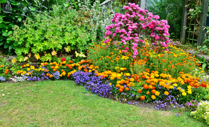 The sensory garden: Color