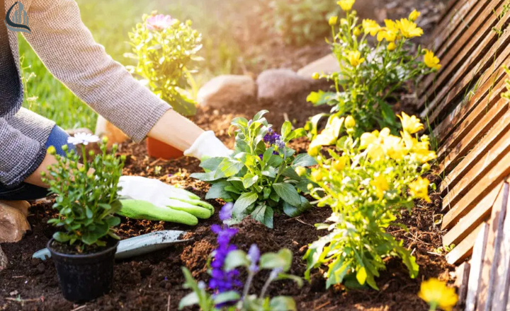 Consider the soil to design a beautiful garden