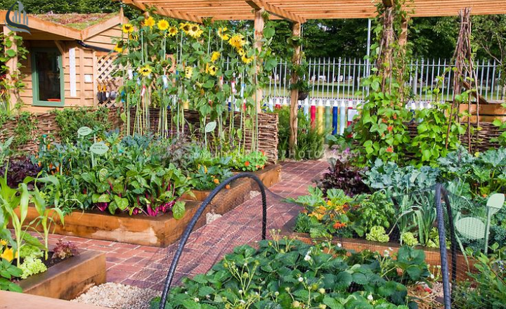 Growing fruit, vegetables, and herbs