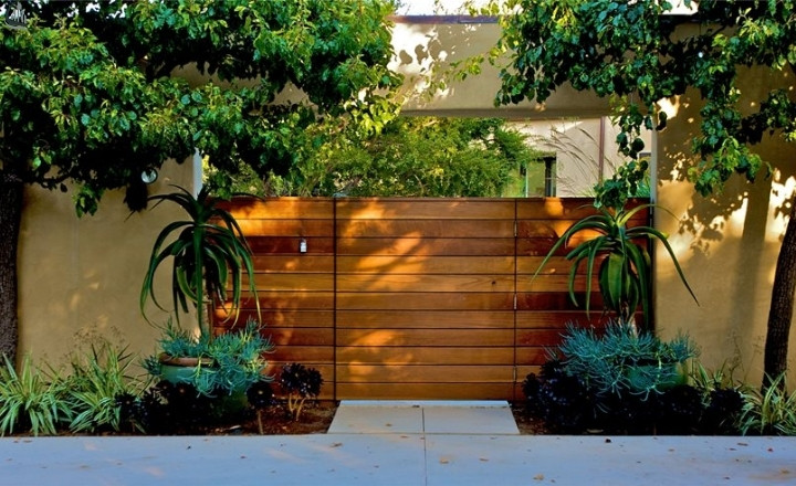 Plant Wall With a Horizontal Fence