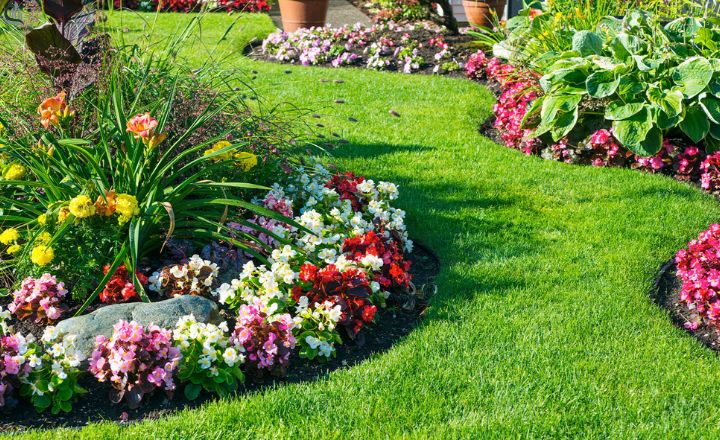 11 Cheap Landscaping Ideas