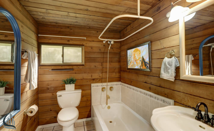 Cabin Bathroom ideas